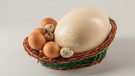 Наши продукты