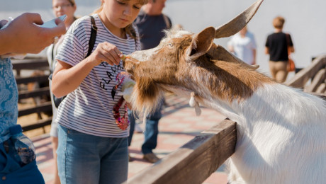 Семейный праздник "Самая классная школа" 07.09.2019 г. Часть 1