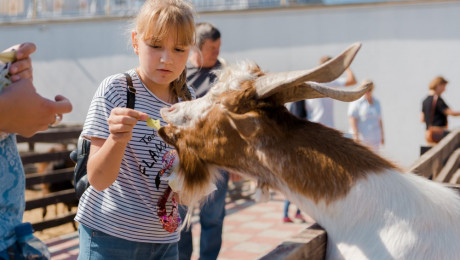 Семейный праздник "Самая классная школа" 07.09.2019 г. Часть 1