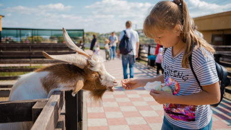 Семейный праздник "Самая классная школа" 07.09.2019 г. Часть 1