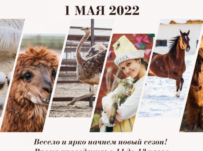 ОТКРЫВАЕМ СЕЗОН ВЕСЕЛО И ЯРКО!
