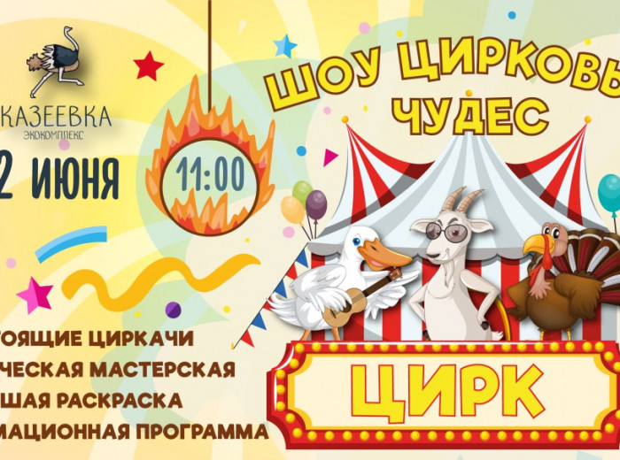 Семейный праздник "Шоу цирковых чудес"